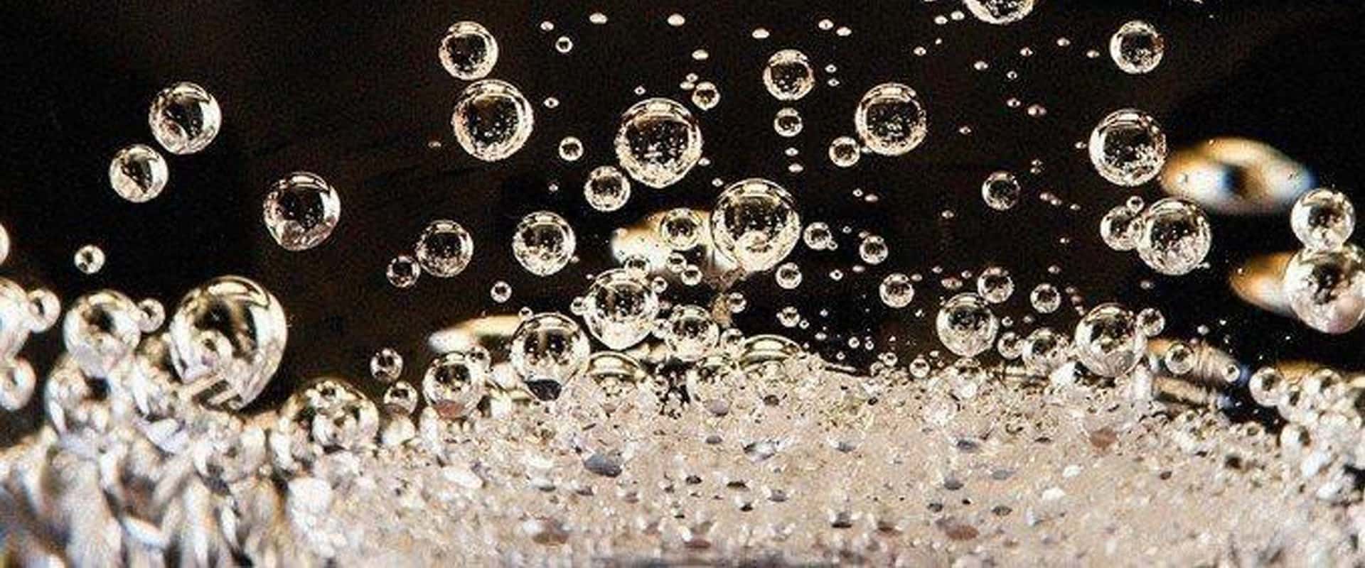 Champagne